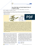 Primary Photochemistry of The Dark - and Light-Adapted States of The YtvA Protein From Bacillus Subtilis