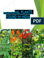 Medicinal Plants Found in India