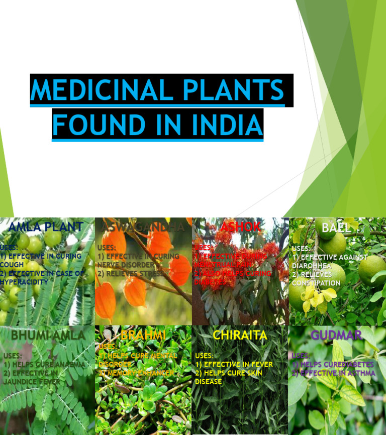 Medicinal Plants Found in India PDF