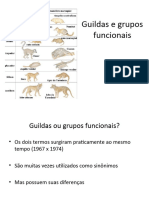 ECE - Aula 3 A - Guildas e Grupos Funcionais