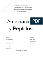 Aminoacidos y Peptidos