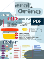 Examen de Orina Colores
