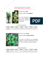 Proyecto de Ciencias Modulo 4