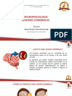 Lesiones Cerebrales