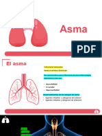 Plantilla PowerPoint Del Sistema Respiratorio