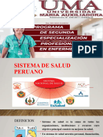 13 Sistemas de Salud