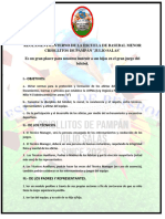Reglamento Interno de La Escuela de Basebal Menor Criollitos de Pampán2