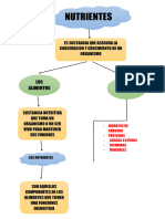 MAPA CONCEPTUAL-fusionado