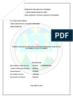 Analisis de La Autonomia de Los Pueblos Indigenas