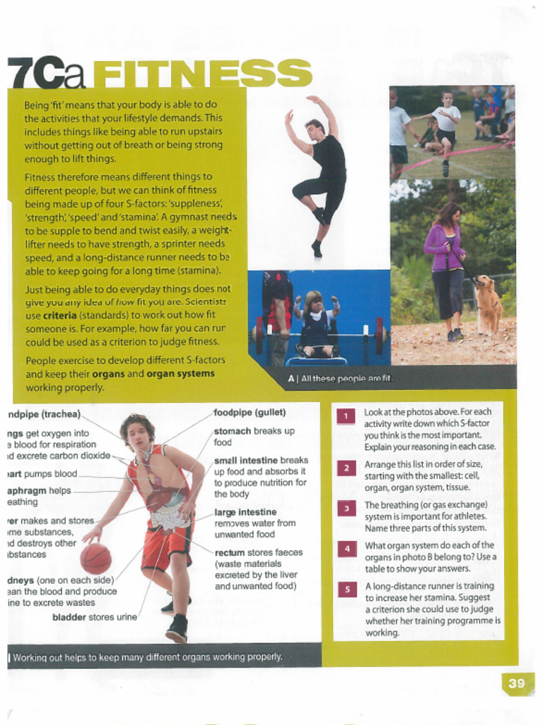 Y7 Exploring Science Text 4 7C Muscles and Bones Pp39-54 | PDF