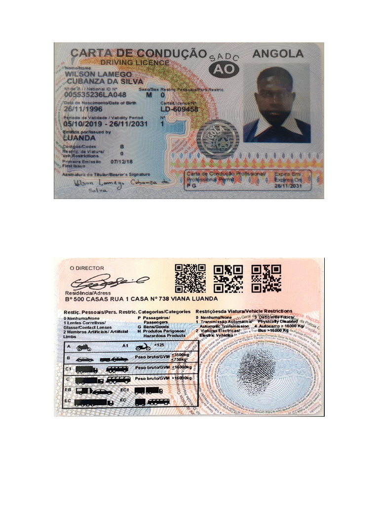 Carta De Condução Pdf Pdf