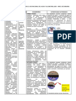 Propuesta Pedagógica Para El Uso Racional Del Agua y Alcantarillado_matematica_sullana (1)