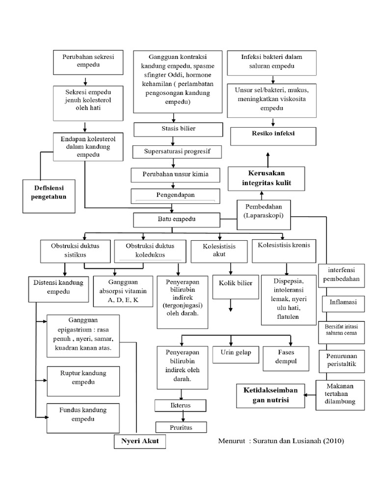patofisiologi-kolelitiasis-dan-ca-pankreas-pdf