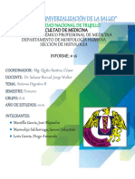 INFORME DE HISTOLOGÍA 16 - Sistema Digestivo II