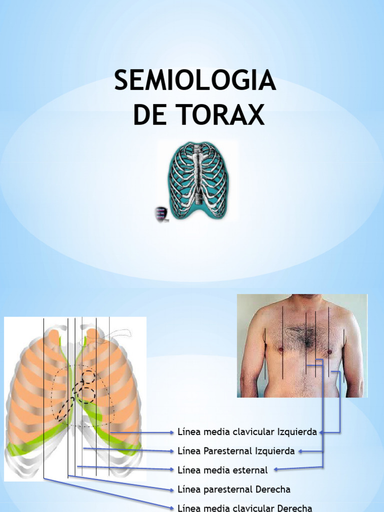 Inspección y Palpación del Tórax | PDF