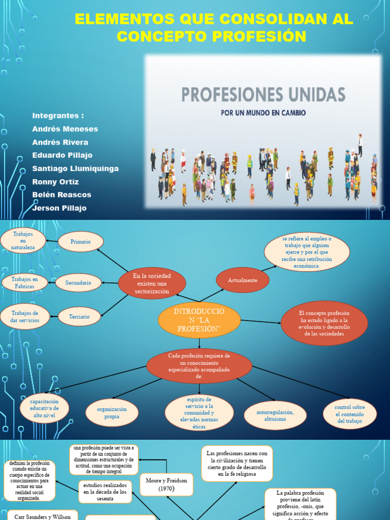 Elementos del Concepto de Profesión | PDF | Estatus social | Sociedad
