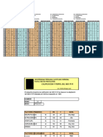 NEOPI-R - Plantilla de Corrección