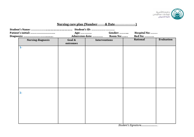 Nursing Care Plan Sheet | PDF