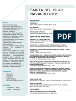 Cv-Sarita Del Pilar Navarro Rios