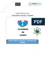 C. Campo Solución Tecnológica Secundaria - Mirella