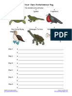 Dichotomous Key Worksheet