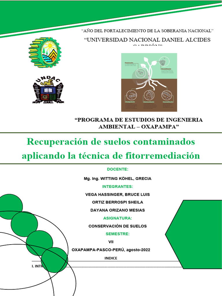 Proyecto Remediacion De Suelos Fitorremediacion Fin De Unidad 4 Pdf
