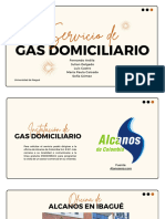 Servicio de Gas Domiciliario