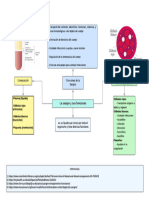 Fisiología de La Contracción Muscular