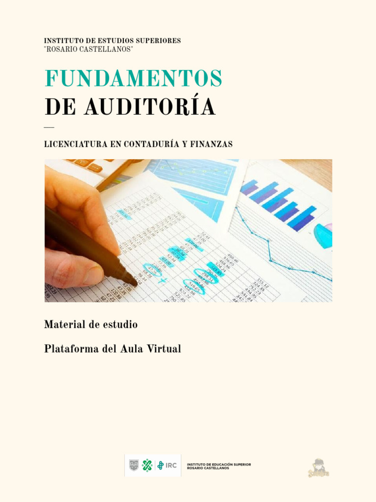 Fundamentos De Auditoría Pdf