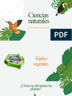 Tejidos - Tejidos Vegetales - 9° ABC - U1