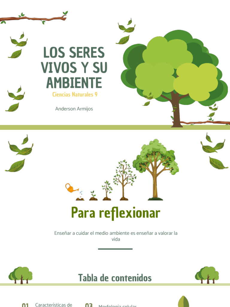 Los Seres Vivos y Su Ambiente - 1705368794