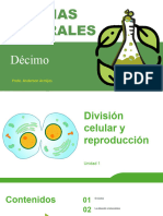 Ciencias Naturales 10° - U1