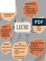 Leche - Mapa Mental