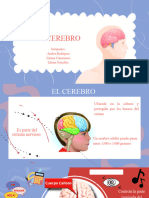 Exposición Cerebro
