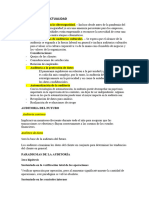 Auditoria Financiera