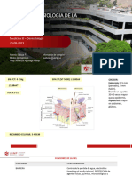 ANATOMIA Y FISIOLOGIA DE LA PIEL 2023-II