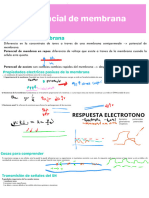 Potencial de Membran