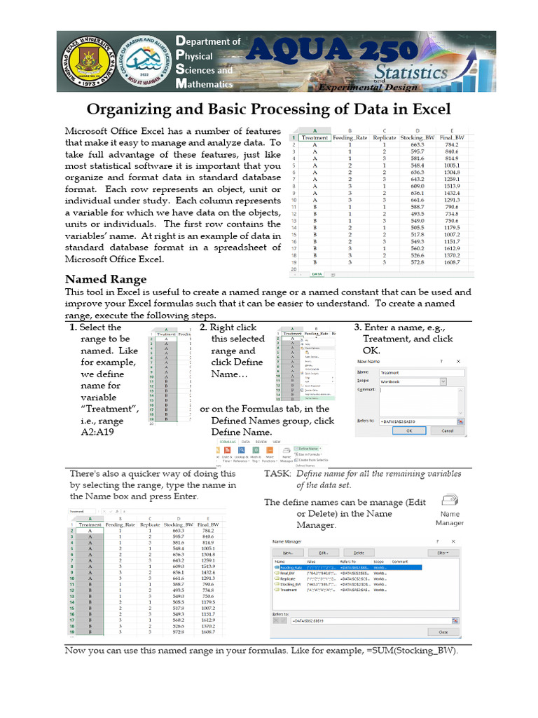 Organizing Data in Excel | PDF