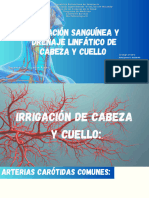 Tema 8, Irrigacion y Drenaje