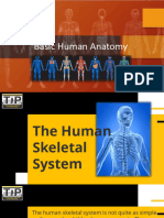 Basic Human Anatomy 1