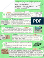 Infografía de Proceso Recortes de Papel Notas Verde