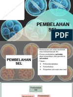 BAB 1 (SEL) - Part 3 Pembelahan Sel