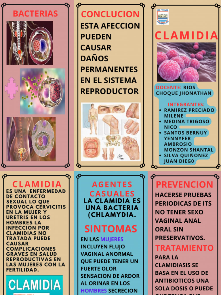Triptico Clamidia | PDF
