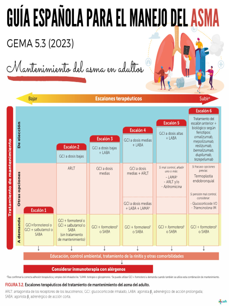 Mantenimiento del asma en adultos GEMA 5.3 | PDF