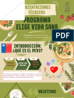 Orientación Técnica Programa Elige Vida Sana