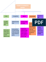 Mapa Conceptual Taller Insuficiencia