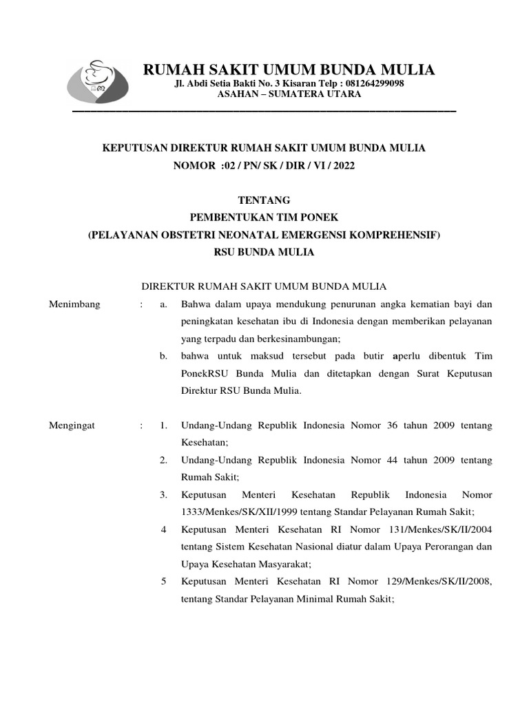 SK Pembentukan Tim Ponek - Ok | PDF