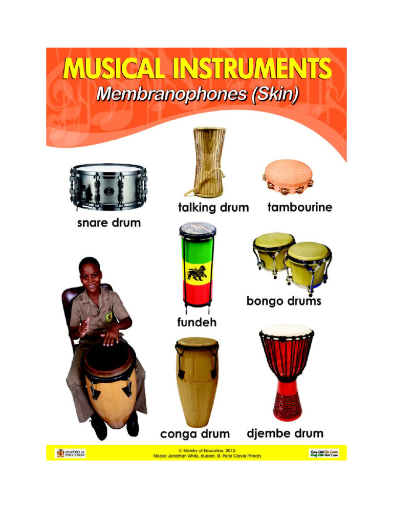 Membrophones | PDF