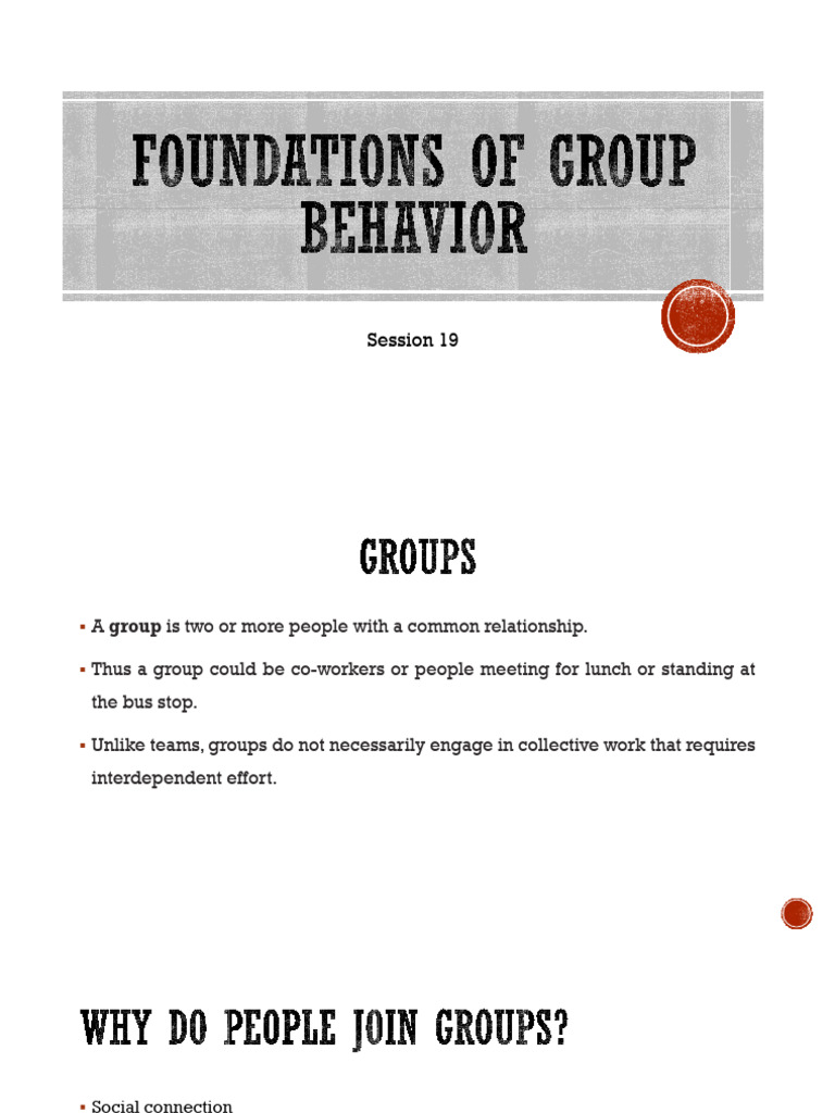 Foundations of Group Behavior PDF