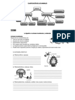 Clasificación de Los Animalesimpp